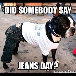 Meet your Posher, Devin